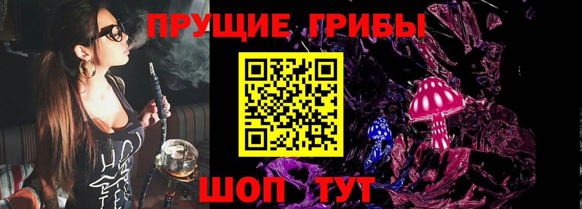Галлюциногенные грибы ЛСД Сосновый Бор