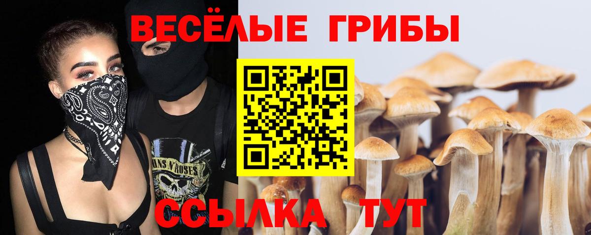 Сосновый Бор  Галлюциногенные грибы прущие грибы  Вход с VPN 